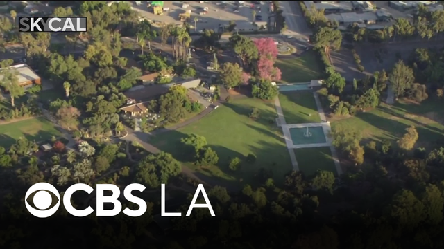 LA Arboretum | Look At This!
