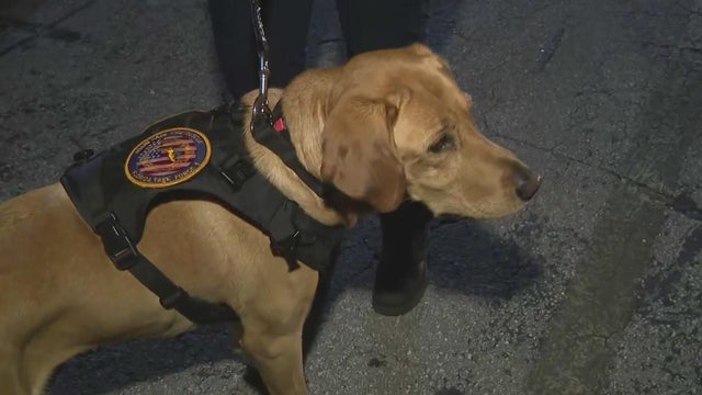 K9s among South Florida first responders heading north ahead of Hurricane Isaias