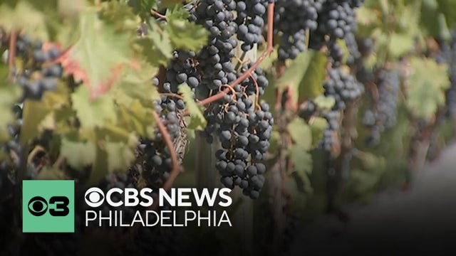 Visit South Jersey launches campaign to aid farmers hit by devastating frost
