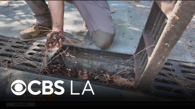 Landscape expert shares how to prepare properties ahead of El Ni&ntilde;o