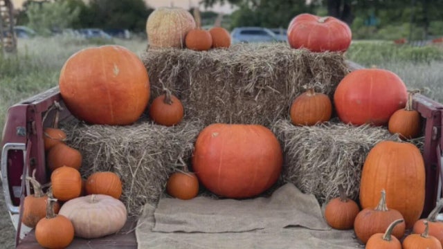 Pumpkinfest opens in Grapevine Friday, October 9th