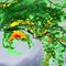 Hurricane Isaias churns toward Gulf Coast