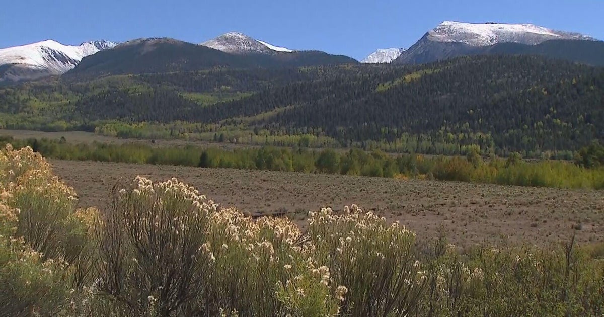 Colorado Gov. Jared Polis releases Salazar recommendations to resolve ...