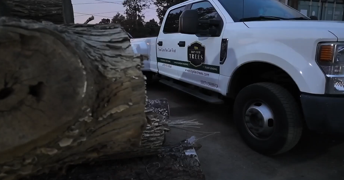 Metro Atlanta tree trimming company sees increase in calls ahead of Hurricane Isaias