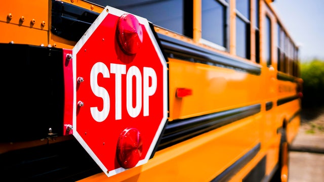 School bus 