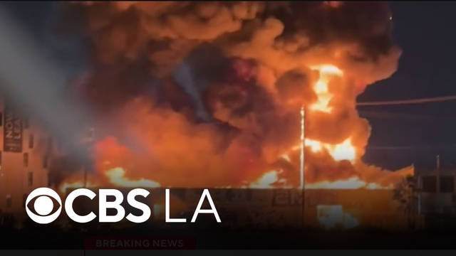Neighbors rescue man's pets from Chinatown commercial building fire