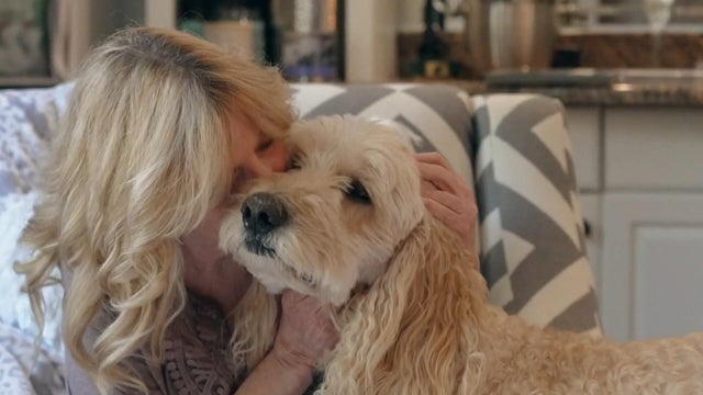 How specialists are finding lost pets