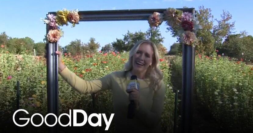 Farm & Barn Tour at Serendipity Ranch
