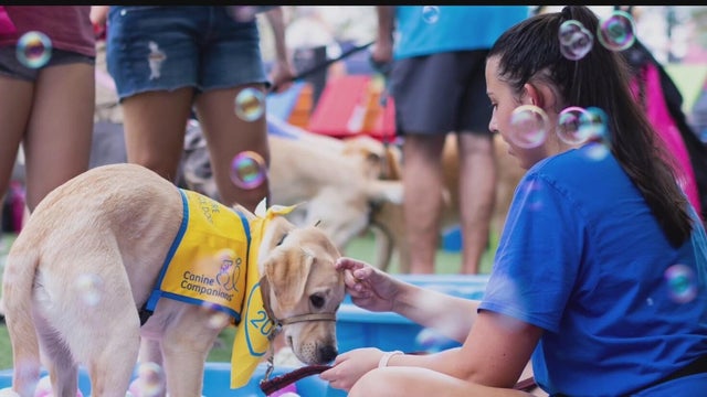 DogFest returns to Dallas on Saturday to benefit Canine Companions