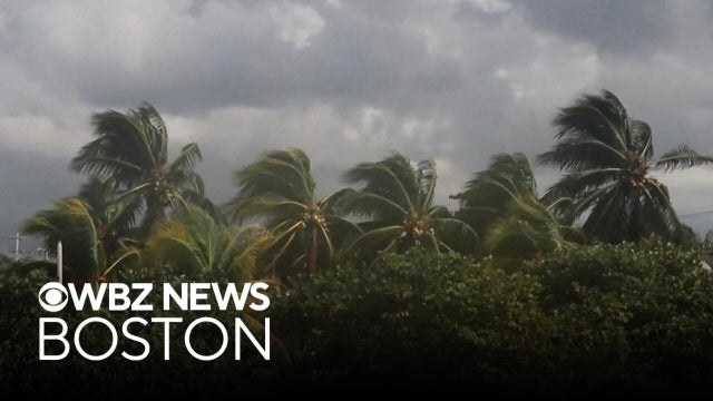 Southern U.S. states prepare for Category 3 Hurricane Isaias