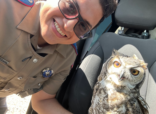 cuteowl2.png