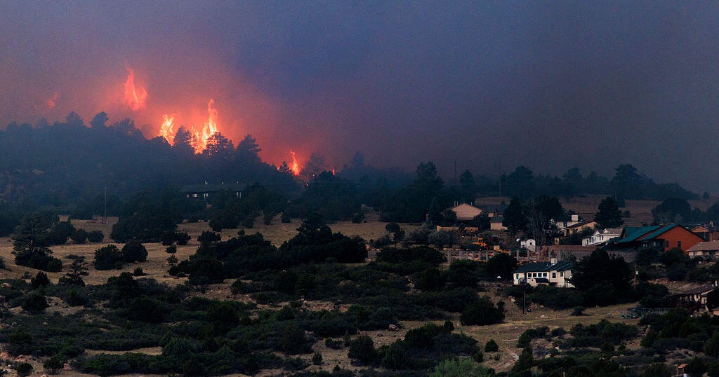 Proposition 137 would divert millions of tax dollars toward wildfire prevention, conservation