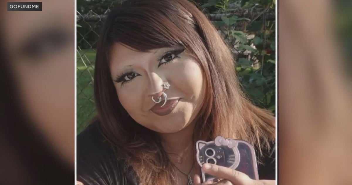 Chicago woman shot and killed while walking home from store with her mother in Little Village