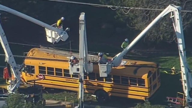 School bus crashes in Brownstown Township