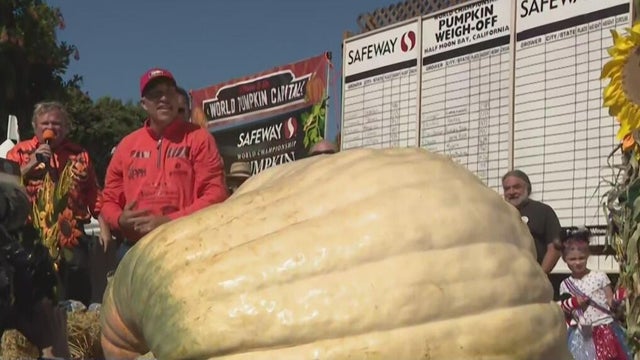 Minnesota man becomes four-time winner of Half Moon Bay, Calif. pumpkin weigh-off
