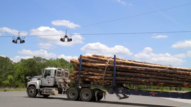 A lorry carrying logs on Highway Route 98 at Otter Creek. 