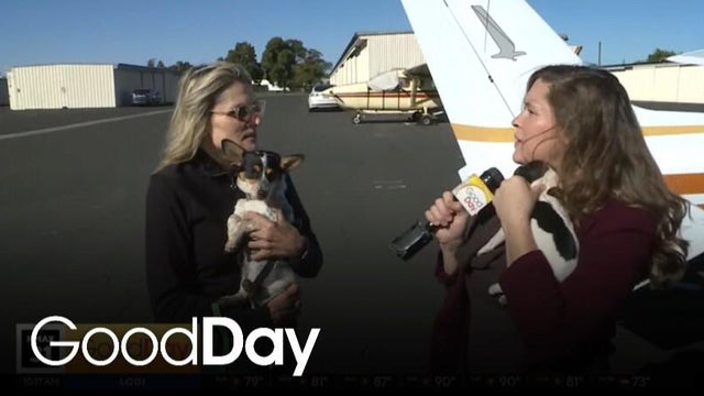 Pilots & Pups, a program that flies animals out of danger!