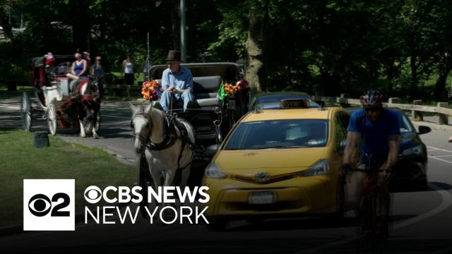 New York City Council set to pass bill banning Central Park horse carriages