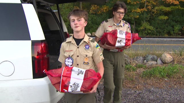 Foxboro Scouts 