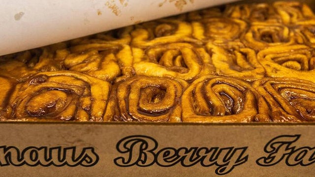 cbsmiami-knaus-berry-farm-1.jpg 