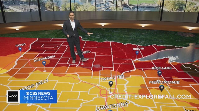 This weekend and next could be peak fall color in the Twin Cities | Oct. 14, 2026