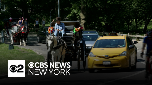 NYC Council set to pass bill banning Central Park horse carriages