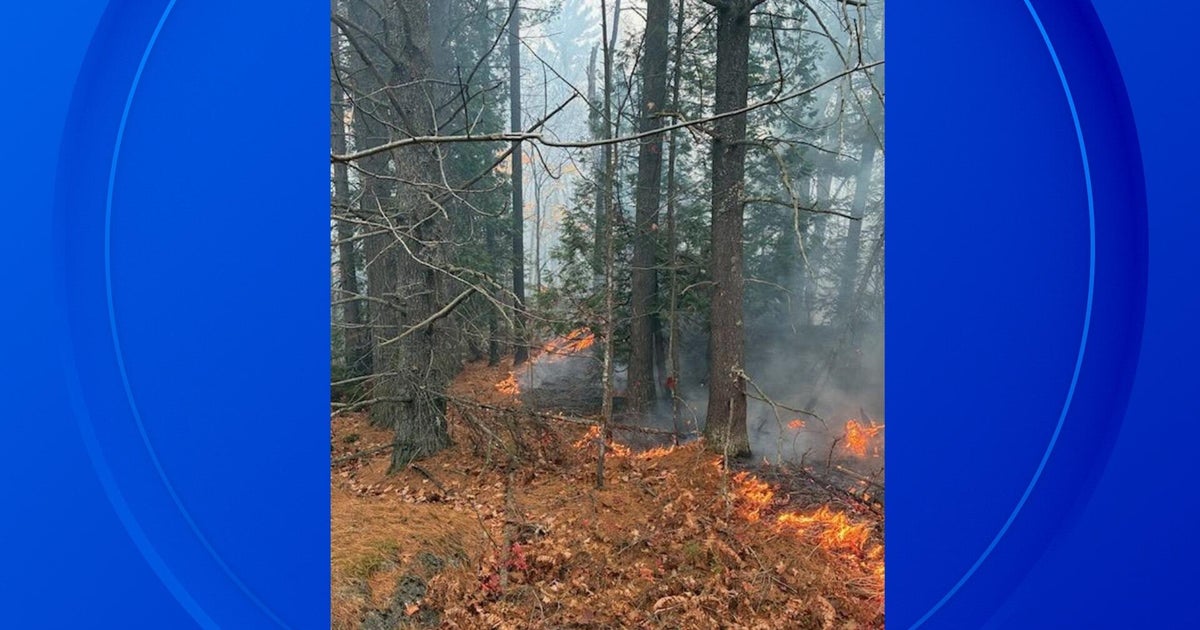 More than 70 firefighters, support crews, working to contain wildfires ...