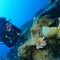 ​World's oldest shipwreck found off Turkey's coast, archaeologists say