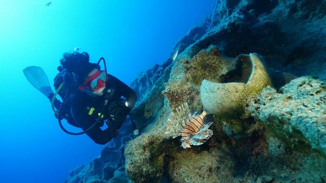 A diver explores an area off Turkey's coast where archaeologists say the world's oldest shipwreck has been found. 