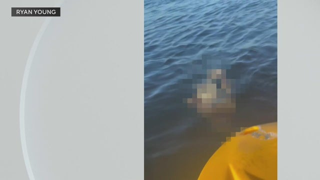 Police investigate after a dog was found underwater tied to cinder blocks in Miami