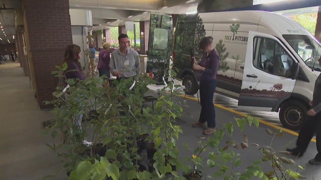 UPMC, Tree Pittsburgh partner to promote local tree planting