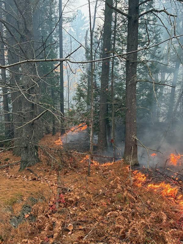 wildfire-in-up.jpg