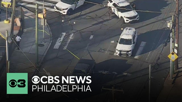 Man fatally struck by vehicle in Torresdale, police say