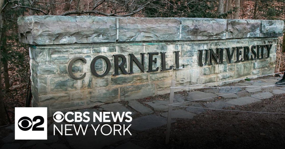 Cornell Faculty Senate debates no confidence resolution in ...