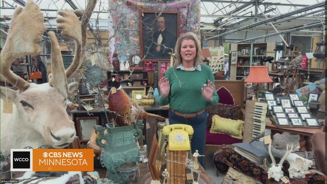 Dial phones, a hurling ball and a pheasant: What turned up at Bachman&rsquo;s antiques show