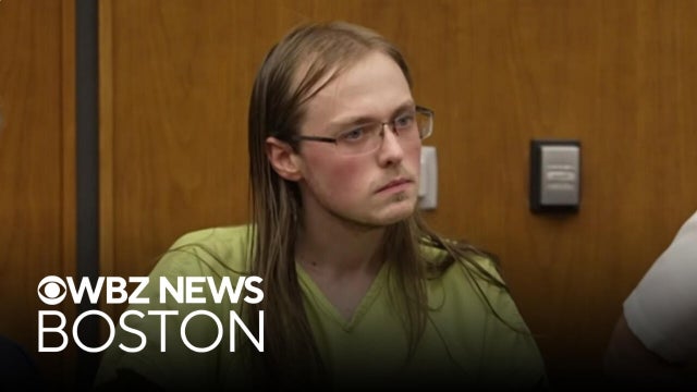 Reading man allegedly sent texts to cousin about killing his mother, prosecutors say