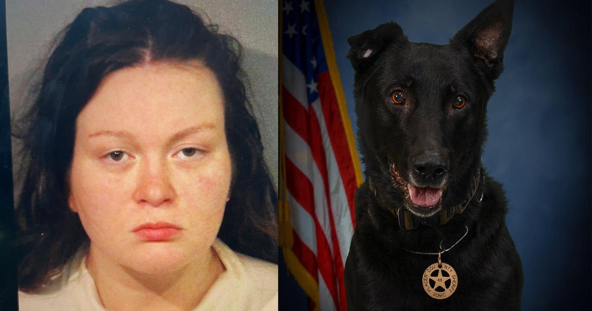 Placer County K9 shot by suspect during overnight standoff in Penryn, sheriff says