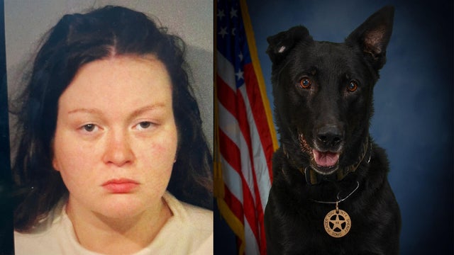 placer-co-k9-shot.jpg 