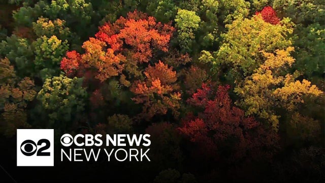 Fall foliage draws crowds to N.Y.'s Hudson Valley
