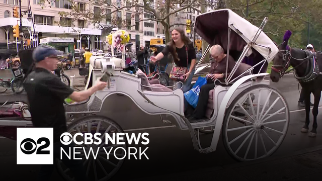 Horse carraige advocated to rally at Central Park against proposed industry ban