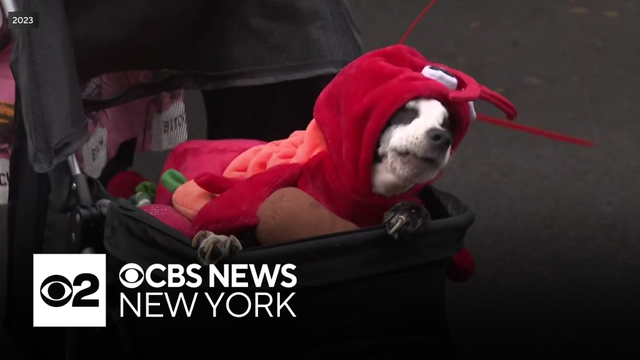 Annual Tomkins Square Halloween Dog Parade being held Saturday