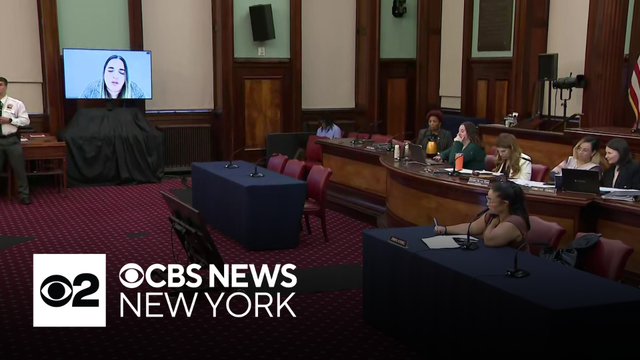 NYC council grills SpaceX on AI safety measures
