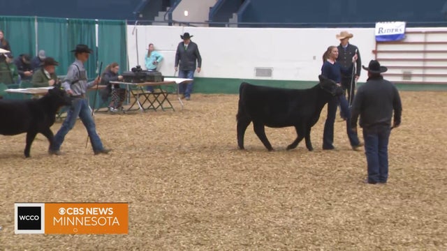 Minnesotans can learn all things beef at the State Fair Grounds