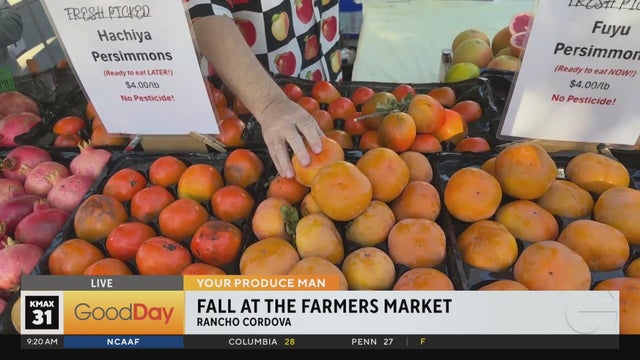 Fall at the Farmers Market, 9am