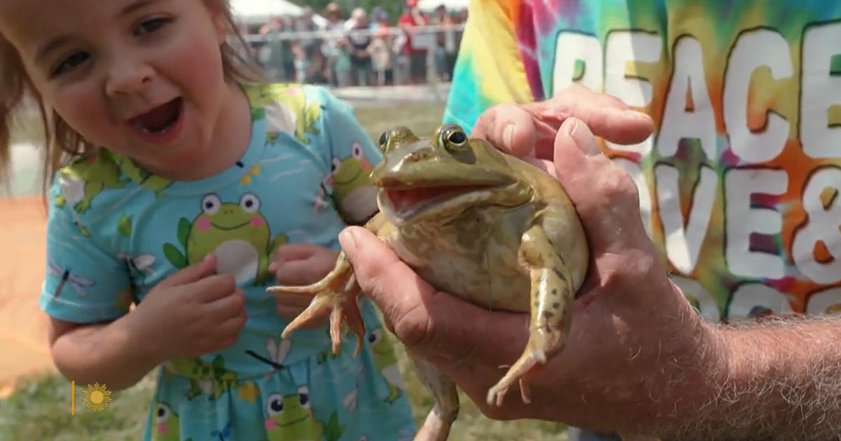 Hop to it! Drama at the Valley City, Ohio Frog Jump
