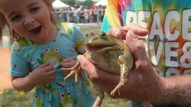 Hop to it! Drama at the Valley City, Ohio Frog Jump