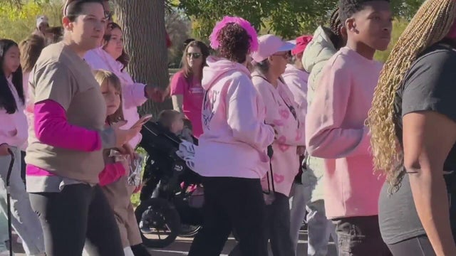 Denver More than Pink Walk raises over $500,000 for breast cancer research, care