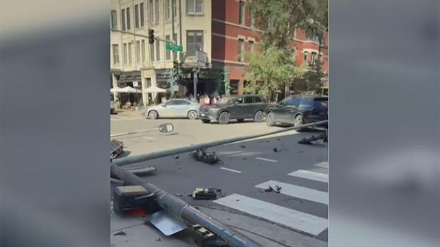 armitage-ave-light-pole-down.jpg 
