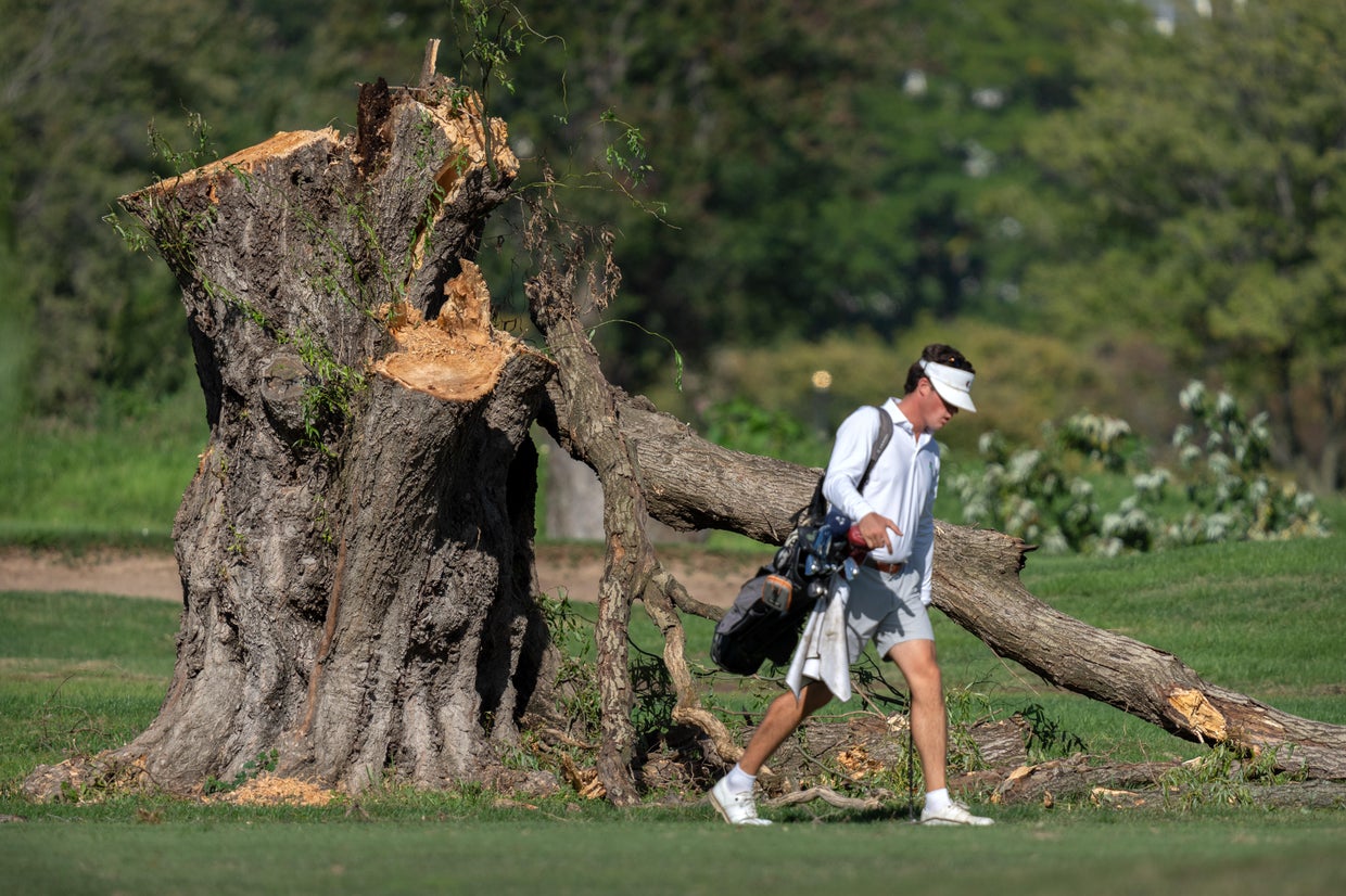 Judge continues to block Trump admin. from cutting down trees at D.C ...