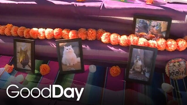 Special ofrenda for our pets at Front Street Animal Shelter